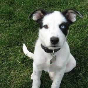 Meet your Posher, Lance